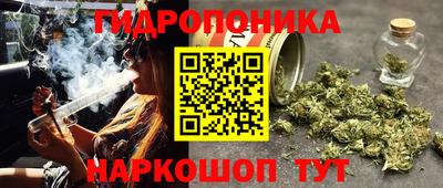 прущие крисы Балаково