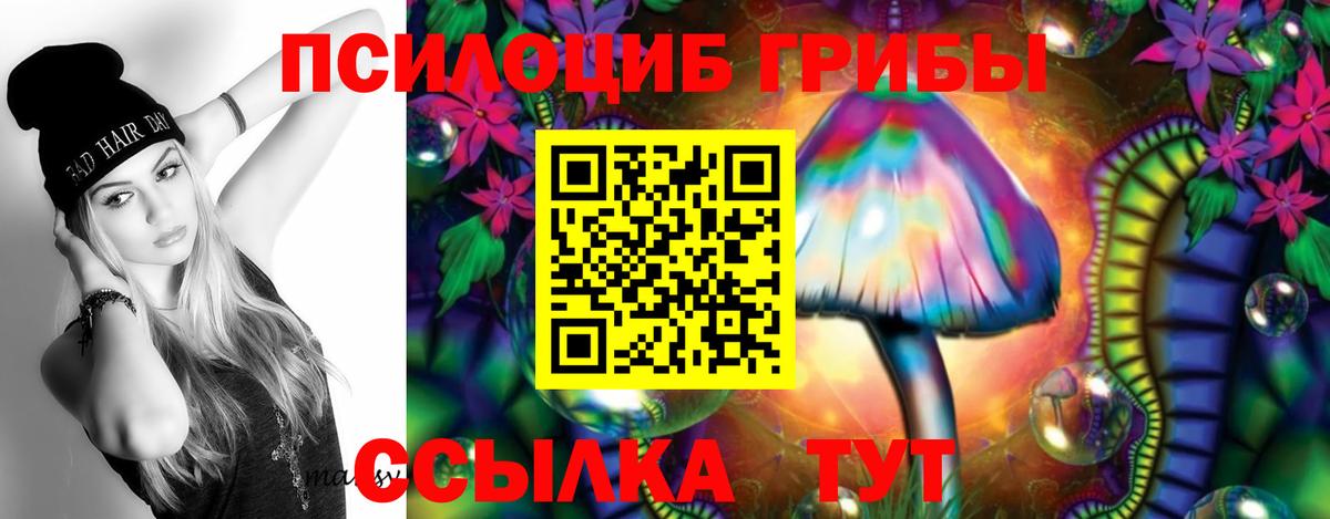 Галлюциногенные грибы мицелий Губкинский